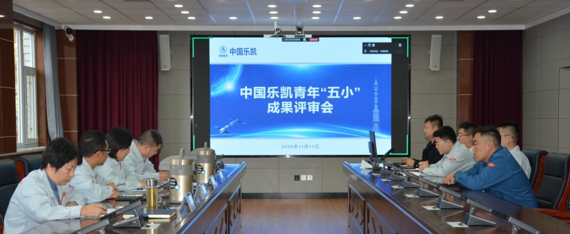 激揚青春智造力！中國樂凱團委召開青年“五小”成果評審會